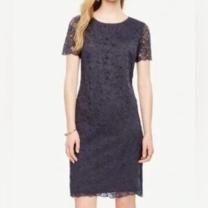 Ann Taylor Lace Dress